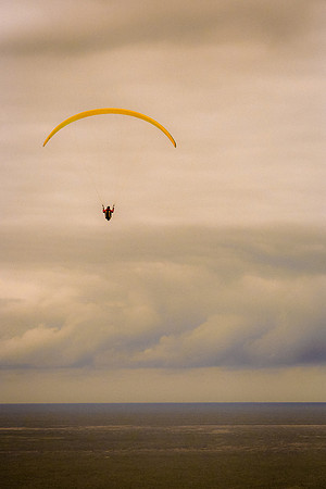 Lofty