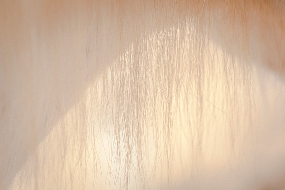 White Light II