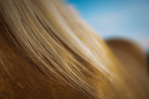 Highlights
