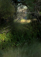 #30 Metoli Lane