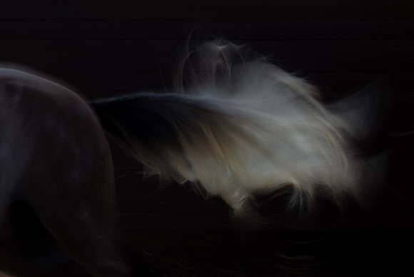 Flash Dance