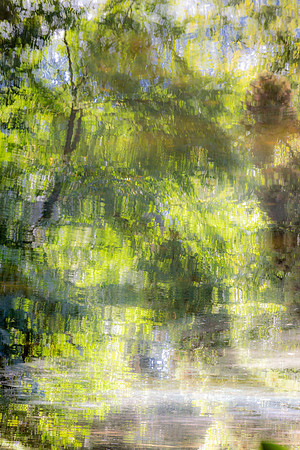 GaileProler_MG_6319