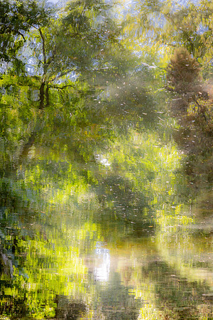 GaileProler_MG_6332
